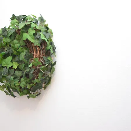 Appartement Nahe Skifahren